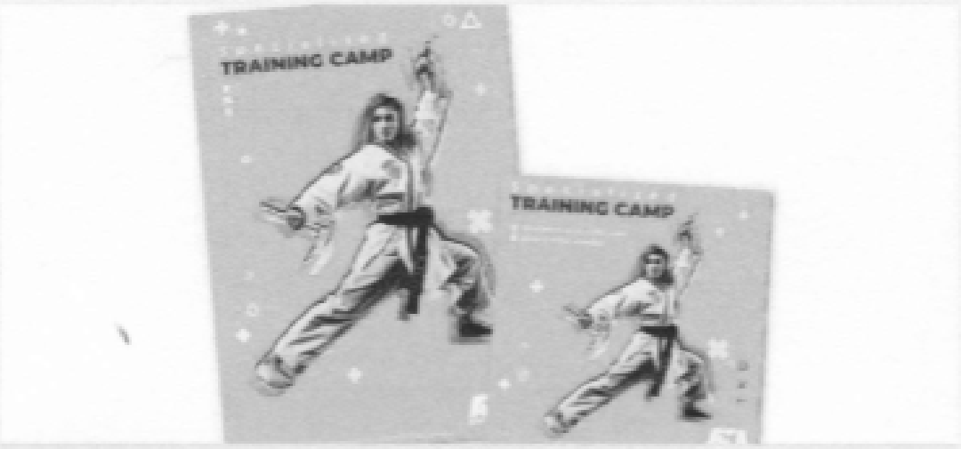 SPECIALIZED TRAINING CAMP